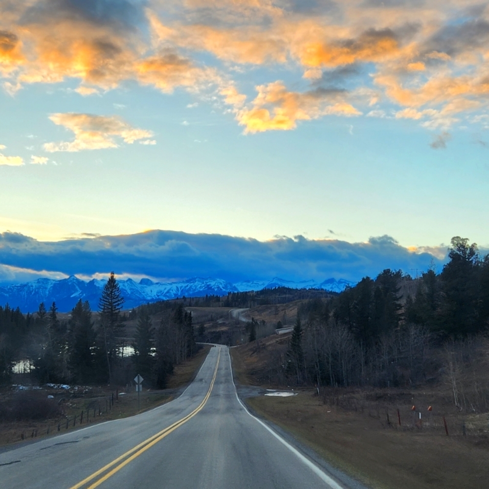 New and/or pre-loved, gently used Lug ❤️